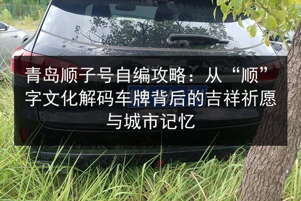 青岛顺子号自编攻略:从“顺”字文化解码车牌背后的吉祥祈愿与城市记忆 第2张 青岛顺子号自编攻略:从“顺”字文化解码车牌背后的吉祥祈愿与城市记忆 第2张