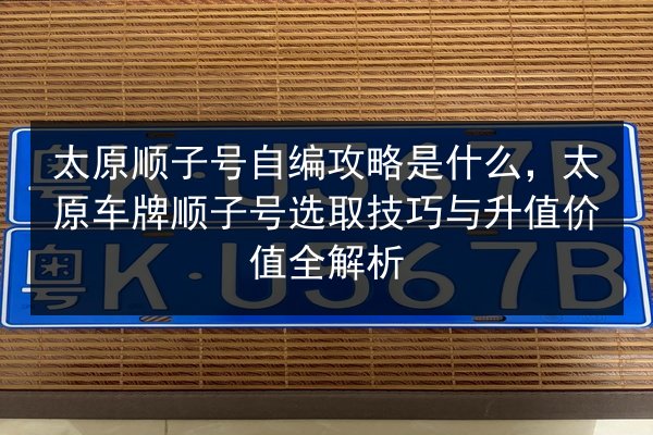 太原顺子号自编攻略是什么，太原车牌顺子号选取技巧与升值价值全解析 第2张