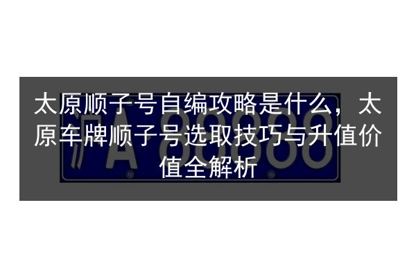 太原顺子号自编攻略是什么，太原车牌顺子号选取技巧与升值价值全解析 第3张