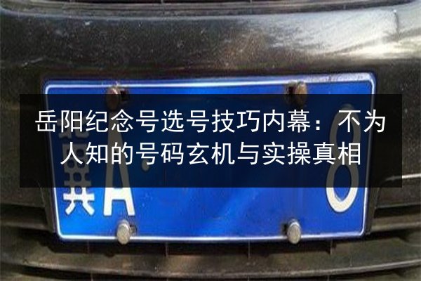 岳阳纪念号选号技巧内幕：不为人知的号码玄机与实操真相 第2张