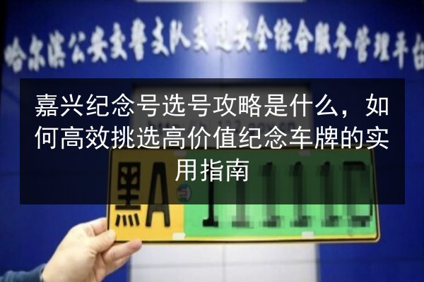 嘉兴纪念号选号攻略是什么，如何高效挑选高价值纪念车牌的实用指南 第2张