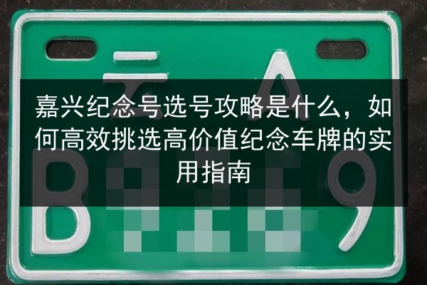 嘉兴纪念号选号攻略是什么，如何高效挑选高价值纪念车牌的实用指南 第3张