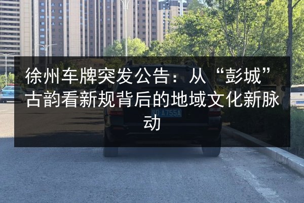 徐州车牌突发公告：从“彭城”古韵看新规背后的地域文化新脉动 第2张
