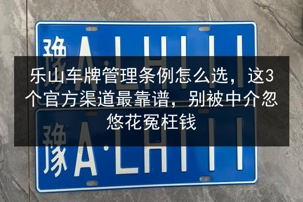 乐山车牌管理条例怎么选，这3个官方渠道最靠谱，别被中介忽悠花冤枉钱 第2张