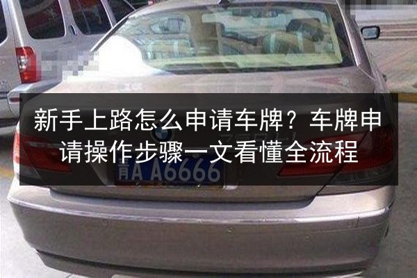 新手上路怎么申请车牌？车牌申请操作步骤一文看懂全流程 第2张