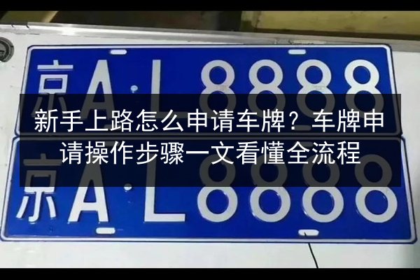 新手上路怎么申请车牌？车牌申请操作步骤一文看懂全流程 第3张