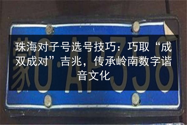珠海对子号选号技巧：巧取“成双成对”吉兆，传承岭南数字谐音文化 第2张