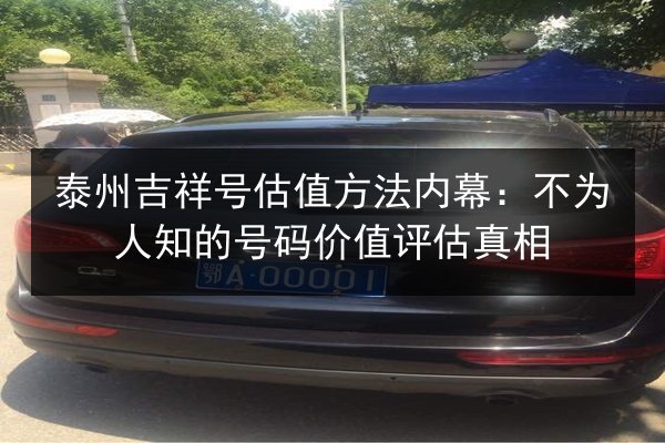 泰州吉祥号估值方法内幕:不为人知的号码价值评估真相 第2张 泰州吉祥号估值方法内幕:不为人知的号码价值评估真相 第2张