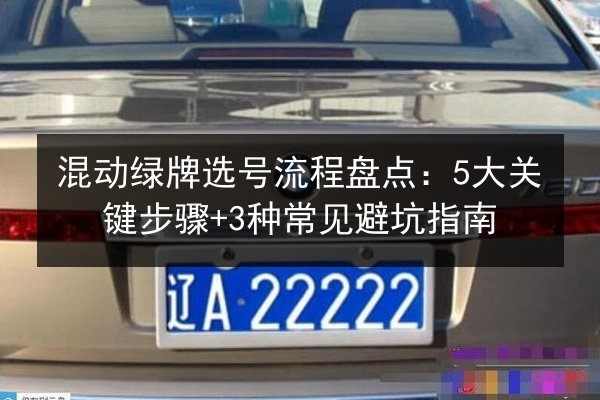 混动绿牌选号流程盘点：5大关键步骤+3种常见避坑指南 第2张