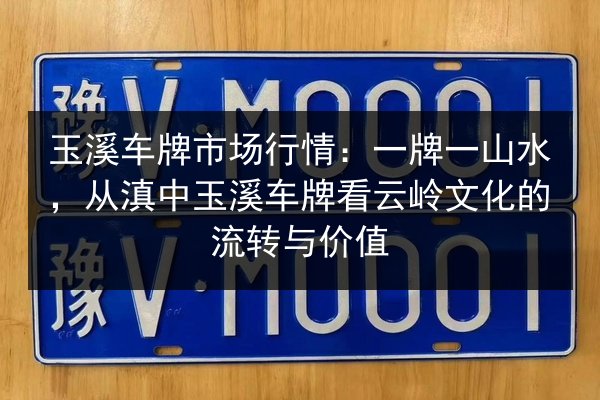 玉溪车牌市场行情：一牌一山水，从滇中玉溪车牌看云岭文化的流转与价值 第2张