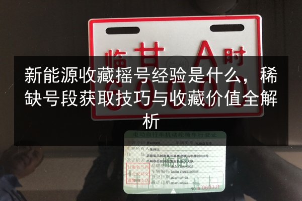 新能源收藏摇号经验是什么,稀缺号段获取技巧与收藏价值全解析 第3张 新能源收藏摇号经验是什么,稀缺号段获取技巧与收藏价值全解析 第3张