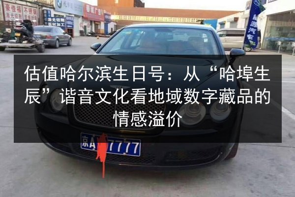 估值哈尔滨生日号:从“哈埠生辰”谐音文化看地域数字藏品的情感溢价 第3张 估值哈尔滨生日号:从“哈埠生辰”谐音文化看地域数字藏品的情感溢价 第3张