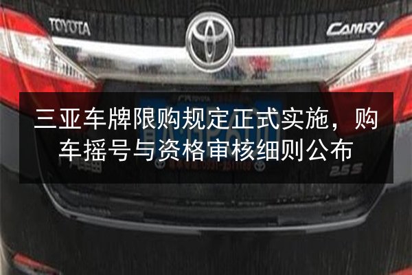 三亚车牌限购规定正式实施，购车摇号与资格审核细则公布 第2张