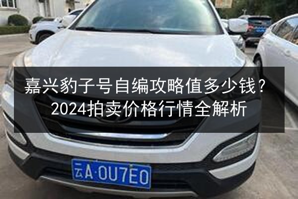 嘉兴豹子号自编攻略值多少钱？2024拍卖价格行情全解析 第3张