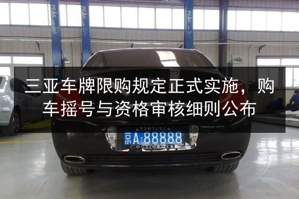 三亚车牌限购规定正式实施，购车摇号与资格审核细则公布 第3张