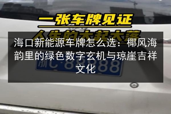 海口新能源车牌怎么选:椰风海韵里的绿色数字玄机与琼崖吉祥文化 第2张 海口新能源车牌怎么选:椰风海韵里的绿色数字玄机与琼崖吉祥文化 第2张