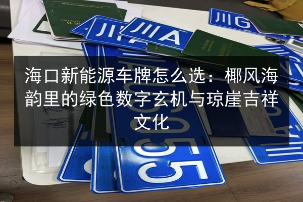 海口新能源车牌怎么选:椰风海韵里的绿色数字玄机与琼崖吉祥文化 第3张 海口新能源车牌怎么选:椰风海韵里的绿色数字玄机与琼崖吉祥文化 第3张