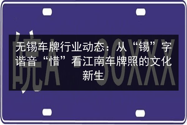 无锡车牌行业动态：从“锡”字谐音“惜”看江南车牌照的文化新生 第3张
