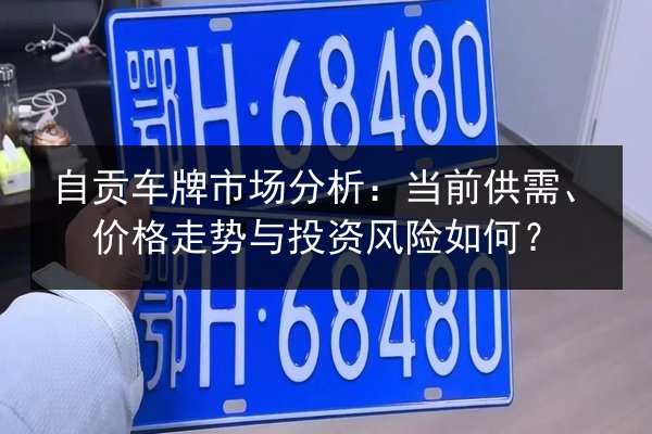 自贡车牌市场分析：当前供需、价格走势与投资风险如何？