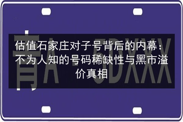 估值石家庄对子号背后的内幕:不为人知的号码稀缺性与黑市溢价真相 第2张 估值石家庄对子号背后的内幕:不为人知的号码稀缺性与黑市溢价真相 第2张
