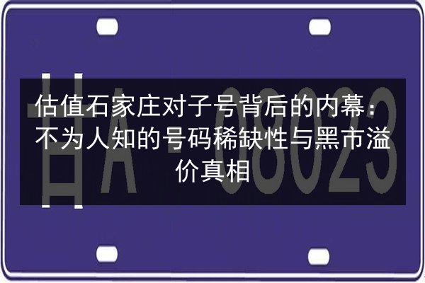 估值石家庄对子号背后的内幕:不为人知的号码稀缺性与黑市溢价真相 第3张 估值石家庄对子号背后的内幕:不为人知的号码稀缺性与黑市溢价真相 第3张