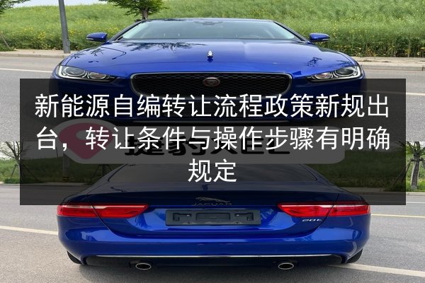 新能源自编转让流程政策新规出台,转让条件与操作步骤有明确规定 第2张 新能源自编转让流程政策新规出台,转让条件与操作步骤有明确规定 第2张
