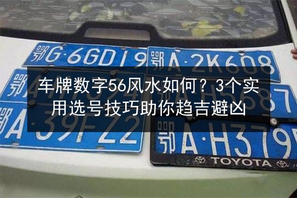 车牌数字56风水如何？3个实用选号技巧助你趋吉避凶 第1张