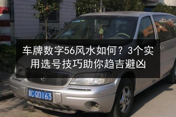 车牌数字56风水如何？3个实用选号技巧助你趋吉避凶 第2张