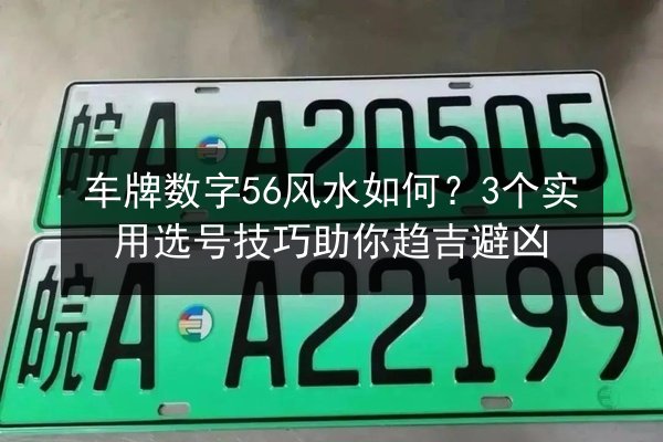 车牌数字56风水如何？3个实用选号技巧助你趋吉避凶 第3张