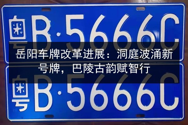岳阳车牌改革进展:洞庭波涌新号牌,巴陵古韵赋智行 第2张 岳阳车牌改革进展:洞庭波涌新号牌,巴陵古韵赋智行 第2张