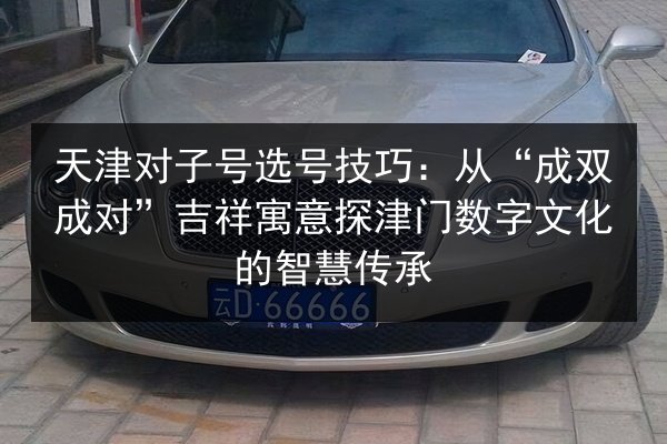 天津对子号选号技巧:从“成双成对”吉祥寓意探津门数字文化的智慧传承 第3张 天津对子号选号技巧:从“成双成对”吉祥寓意探津门数字文化的智慧传承 第3张