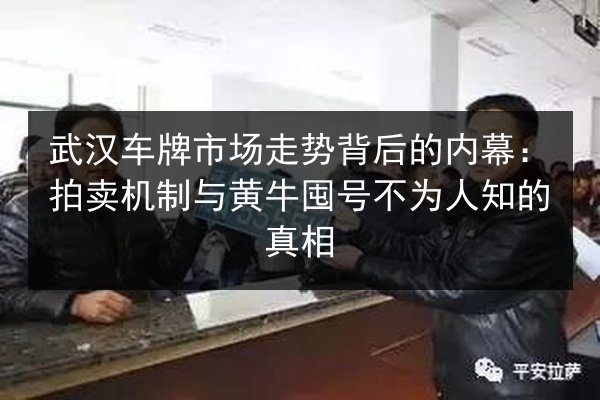 武汉车牌市场走势背后的内幕：拍卖机制与黄牛囤号不为人知的真相 第2张