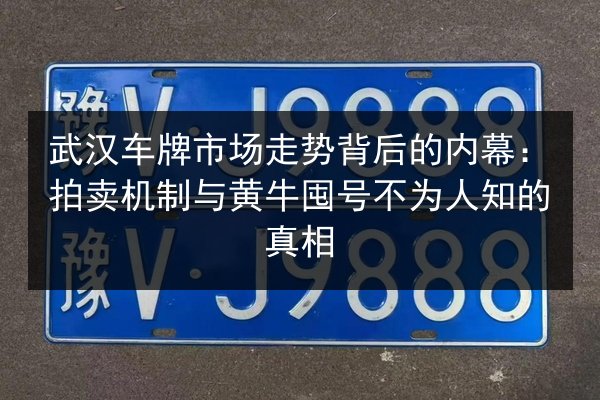 武汉车牌市场走势背后的内幕：拍卖机制与黄牛囤号不为人知的真相 第3张