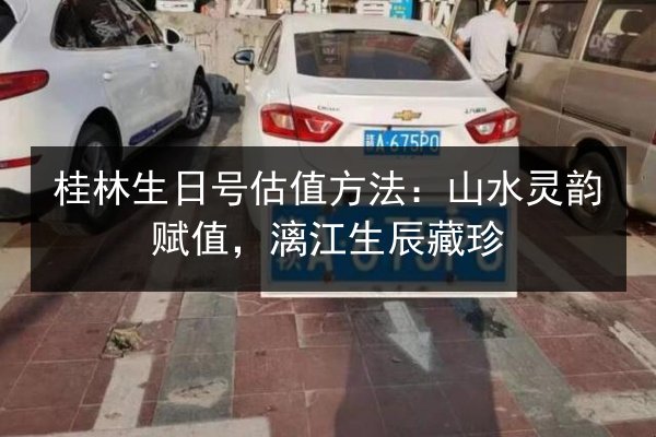 桂林生日号估值方法：山水灵韵赋值，漓江生辰藏珍 第2张