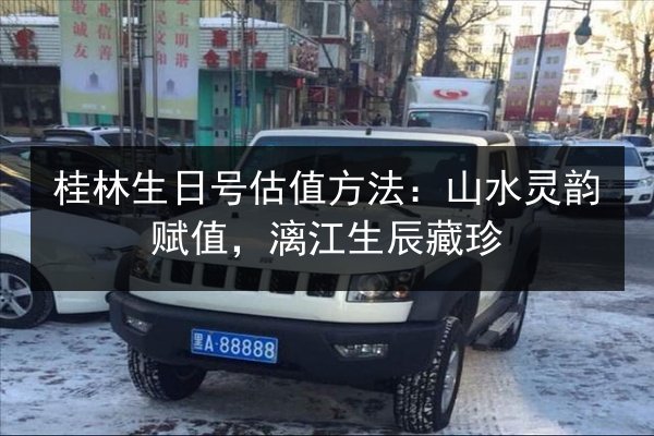 桂林生日号估值方法：山水灵韵赋值，漓江生辰藏珍 第3张