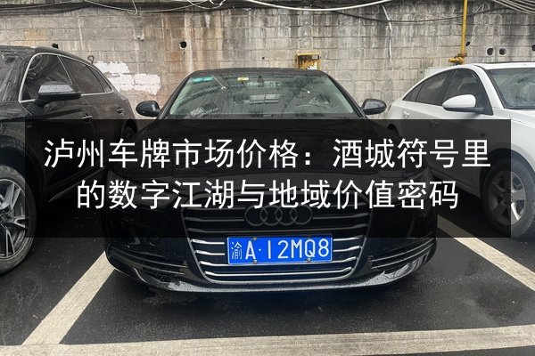 泸州车牌市场价格：酒城符号里的数字江湖与地域价值密码 第3张