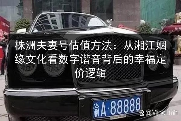 株洲夫妻号估值方法：从湘江姻缘文化看数字谐音背后的幸福定价逻辑 第3张