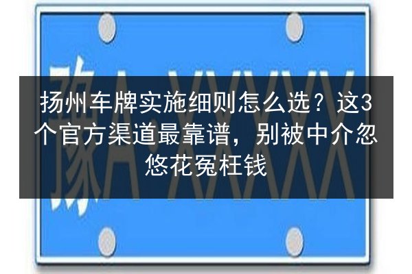 扬州车牌实施细则怎么选？这3个官方渠道最靠谱，别被中介忽悠花冤枉钱 第2张