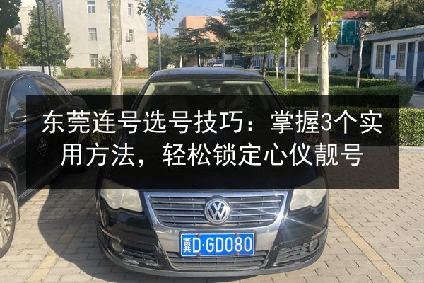 东莞连号选号技巧：掌握3个实用方法，轻松锁定心仪靓号 第3张