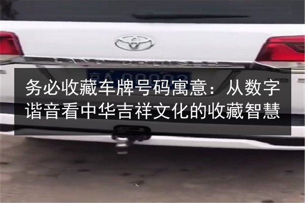 务必收藏车牌号码寓意:从数字谐音看中华吉祥文化的收藏智慧 第1张 务必收藏车牌号码寓意:从数字谐音看中华吉祥文化的收藏智慧 第1张