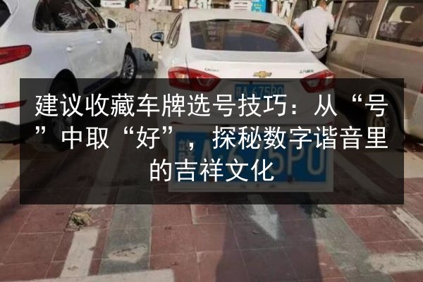 建议收藏车牌选号技巧:从“号”中取“好”,探秘数字谐音里的吉祥文化 第3张 建议收藏车牌选号技巧:从“号”中取“好”,探秘数字谐音里的吉祥文化 第3张