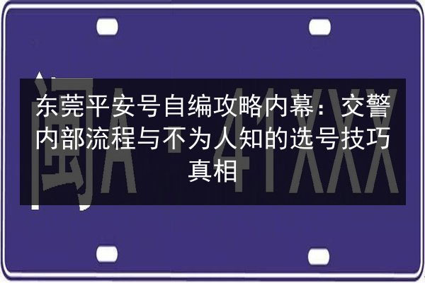 东莞平安号自编攻略内幕：交警内部流程与不为人知的选号技巧真相 第3张