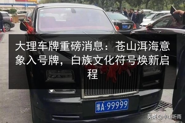 大理车牌重磅消息:苍山洱海意象入号牌,白族文化符号焕新启程 第2张 大理车牌重磅消息:苍山洱海意象入号牌,白族文化符号焕新启程 第2张