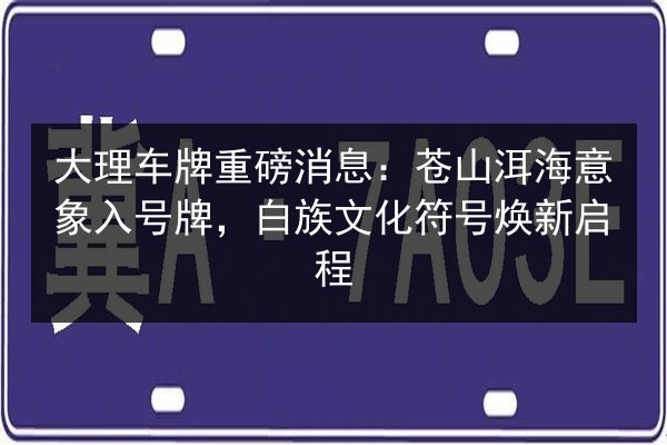 大理车牌重磅消息:苍山洱海意象入号牌,白族文化符号焕新启程 第3张 大理车牌重磅消息:苍山洱海意象入号牌,白族文化符号焕新启程 第3张