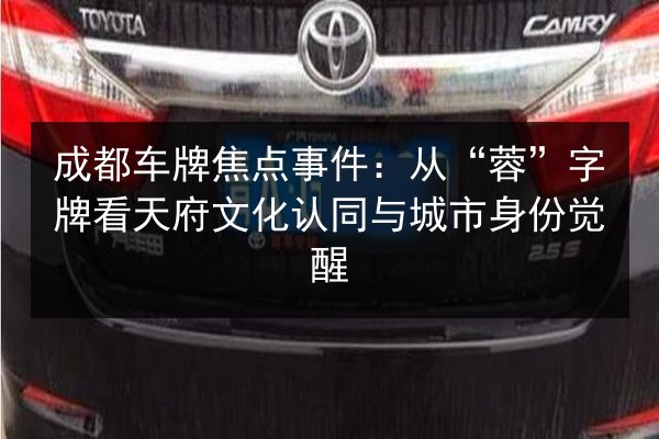 成都车牌焦点事件：从“蓉”字牌看天府文化认同与城市身份觉醒 第3张