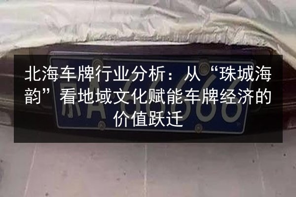 北海车牌行业分析:从“珠城海韵”看地域文化赋能车牌经济的价值跃迁 第2张 北海车牌行业分析:从“珠城海韵”看地域文化赋能车牌经济的价值跃迁 第2张