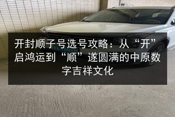开封顺子号选号攻略：从“开”启鸿运到“顺”遂圆满的中原数字吉祥文化 第3张