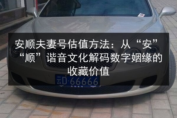 安顺夫妻号估值方法：从“安”“顺”谐音文化解码数字姻缘的收藏价值 第2张
