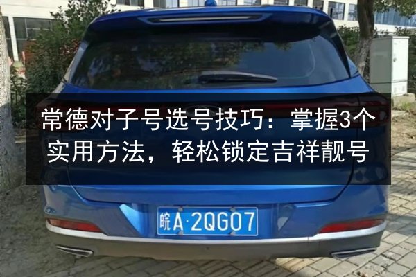 常德对子号选号技巧：掌握3个实用方法，轻松锁定吉祥靓号 第2张