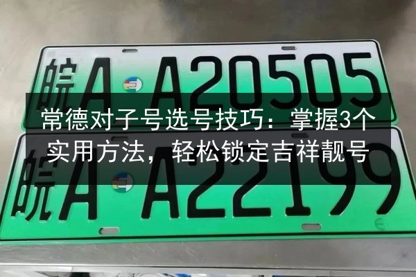 常德对子号选号技巧：掌握3个实用方法，轻松锁定吉祥靓号 第3张